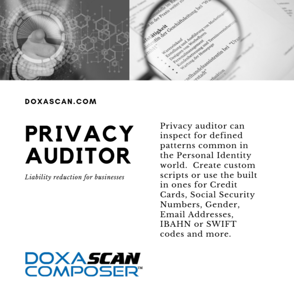 DoxaScan-Privacy-Auditor.png