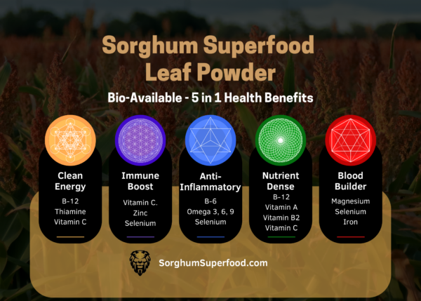 Sorghum Superfood Flyer 7x5 - Ademola okubena-2