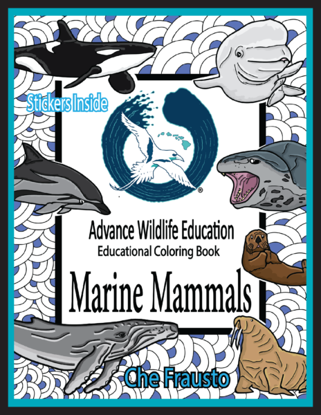 humpback-cover-new-7_11_21-01