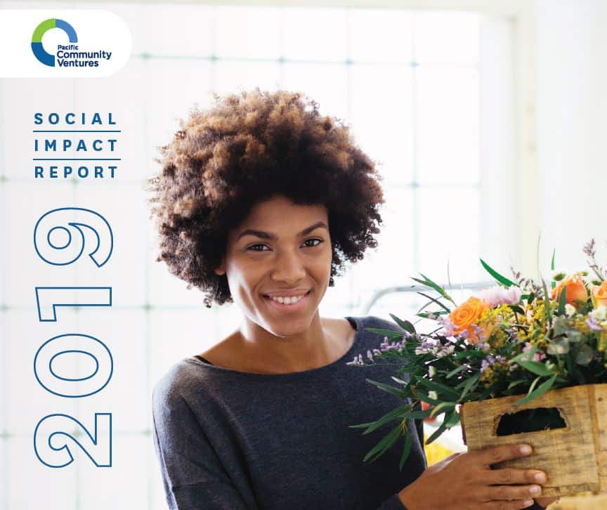 PCV Impact Report 2019