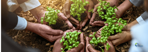 気候ブログ（メールヘッダー）